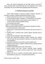 Biznesa plāns 'Biznesa plāns pašvaldības uzņēmumam pēc reorganizācijas', 13.