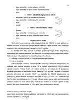 Biznesa plāns 'Biznesa plāns pašvaldības uzņēmumam pēc reorganizācijas', 20.