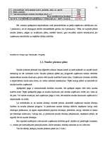 Biznesa plāns 'Biznesa plāns pašvaldības uzņēmumam pēc reorganizācijas', 31.