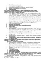 Konspekts 'Stratēģiskā vadībzinība - teorijas apskats', 11.