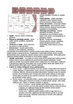 Konspekts 'Stratēģiskā vadībzinība - teorijas apskats', 12.