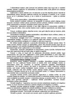 Konspekts 'Stratēģiskā vadībzinība - teorijas apskats', 15.