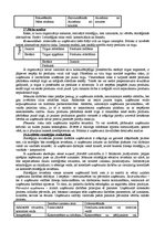 Konspekts 'Stratēģiskā vadībzinība - teorijas apskats', 19.