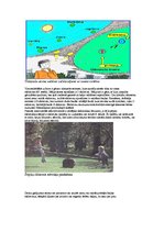 Konspekts 'Vielas uzbūve', 2.