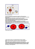 Konspekts 'Vielas uzbūve', 3.