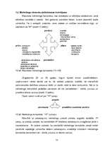 Diplomdarbs 'SIA "Evor" konkurētspējas pilnveidošanas iespējas apsardzes un drošības pakalpoj', 56.
