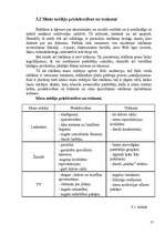 Referāts 'Reklāmas nozīme mobilo sakaru operatora "Bite" popularizēšanā tirgū', 15.