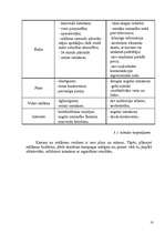 Referāts 'Reklāmas nozīme mobilo sakaru operatora "Bite" popularizēšanā tirgū', 16.