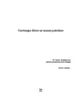 Referāts 'Garšaugu dārzs uz manas palodzes', 1.