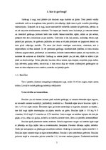 Referāts 'Garšaugu dārzs uz manas palodzes', 5.