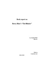 Konspekts 'Book Report on Barry Hines "The Blinder"', 1.