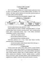 Biznesa plāns 'Biznesa plāns "PC market"', 4.