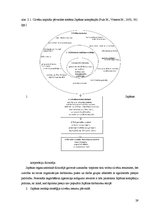 Diplomdarbs 'Japāņu menedžmenta elementu izmantošanas iespējas Latvijas uzņēmumu personālvadī', 29.