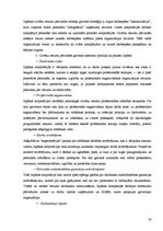 Diplomdarbs 'Japāņu menedžmenta elementu izmantošanas iespējas Latvijas uzņēmumu personālvadī', 30.