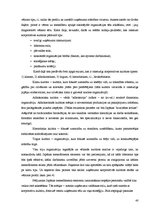 Diplomdarbs 'Japāņu menedžmenta elementu izmantošanas iespējas Latvijas uzņēmumu personālvadī', 40.