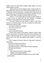 Diplomdarbs 'Japāņu menedžmenta elementu izmantošanas iespējas Latvijas uzņēmumu personālvadī', 48.