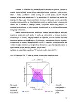 Diplomdarbs 'Japāņu menedžmenta elementu izmantošanas iespējas Latvijas uzņēmumu personālvadī', 54.