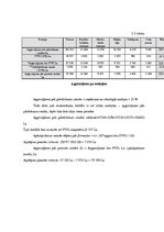 Referāts 'Viesnīcas "Sun Hotel" finanšu rādītāju analīze', 25.