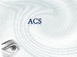 Prezentācija 'Acs', 1.