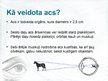 Prezentācija 'Acs', 3.