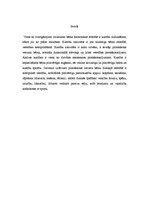 Referāts 'Spēka un ātruma attīstīšana pirmsskolā', 2.