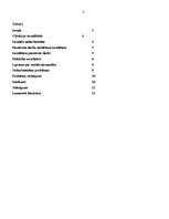 Referāts 'Sabiedrībā aktuāla sociālā problēma - invaliditāte', 2.