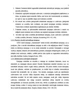 Referāts 'CSDD kampaņas "Gaismaszīme" ziņojuma efektivitāte vides reklāmā, tā novērtējums ', 7.