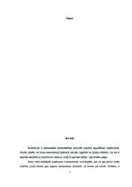 Referāts 'Uzņēmuma investīciju politika, tās novērtēšanas un pilnveidošanas iespējas', 2.