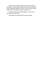 Referāts 'Dzintars Sodums "Taisām tiltu"', 7.