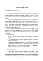 Referāts 'A/s "Valmieras piens", saimnieciskās darbības analīze', 15.