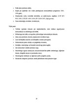 Referāts 'A/s "Valmieras piens", saimnieciskās darbības analīze', 29.