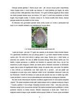 Eseja 'Jauna tūrisma produkta projekts lokālai teritorijai Latvijā', 4.