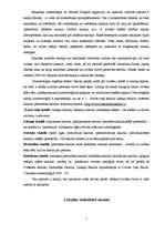 Referāts 'Skaitļi latviešu tautas folklorā, O.Vācieša dzejas krājumā "Klavierkoncerts" un ', 7.