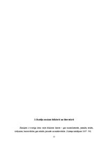 Referāts 'Skaitļi latviešu tautas folklorā, O.Vācieša dzejas krājumā "Klavierkoncerts" un ', 12.