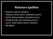 Prezentācija 'Tēlu analīze Raiņa lugā "Uguns un nakts". Melnais bruņinieks, Kangars', 8.
