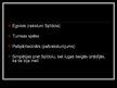 Prezentācija 'Tēlu analīze Raiņa lugā "Uguns un nakts". Melnais bruņinieks, Kangars', 14.