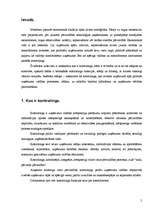 Referāts 'Kontrolings', 2.