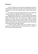 Referāts 'Kontrolings', 8.