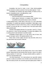 Prakses atskaite 'Autovadīšanas drošības tehniskie un tiesiskie pamati', 20.