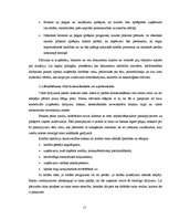 Diplomdarbs 'Uzņēmuma kreditēšanas veidi un to nodrošinājums', 15.