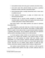 Diplomdarbs 'Uzņēmuma kreditēšanas veidi un to nodrošinājums', 17.