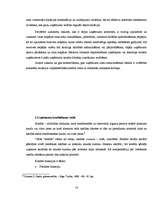 Diplomdarbs 'Uzņēmuma kreditēšanas veidi un to nodrošinājums', 18.