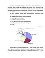 Diplomdarbs 'Uzņēmuma kreditēšanas veidi un to nodrošinājums', 52.