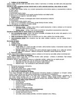 Konspekts 'Valūtas', 1.