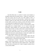 Referāts 'Bērna bailes un to novēršana', 3.