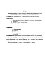 Referāts 'Ārpus skolas sporta nodarbības', 3.