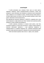 Biznesa plāns 'Бизнес план', 3.