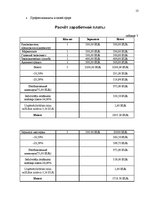 Biznesa plāns 'Бизнес план', 13.