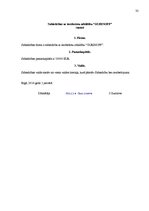 Biznesa plāns 'Бизнес план', 32.