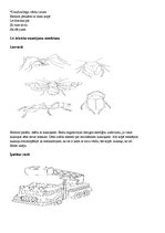 Paraugs 'Bērna runas un valodas izpēte pirmsskolas izglītības iestādē', 4.